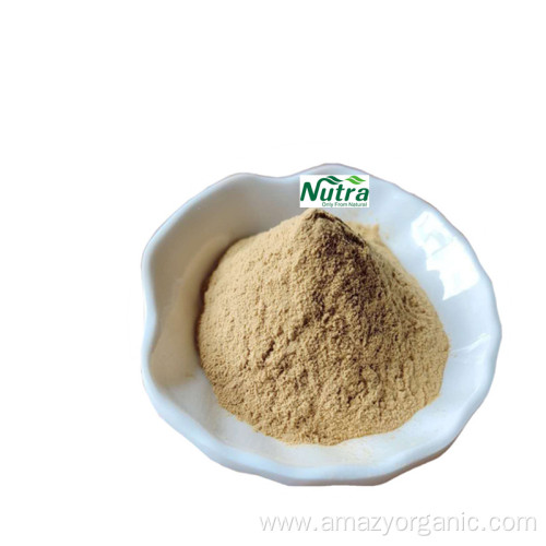 Organic Radix Scutellariae Extract Baicalin Powder